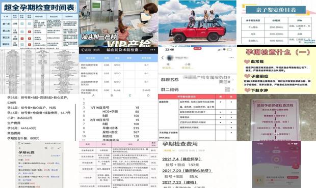 汕头怀孕前检查多少钱